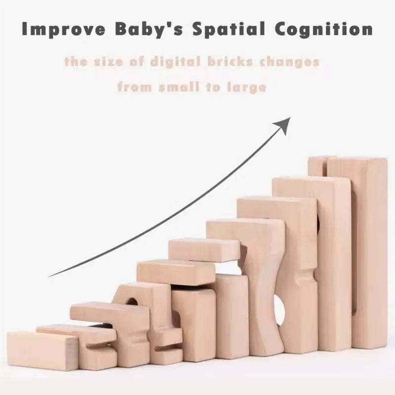1-10 Natural Number Blocks