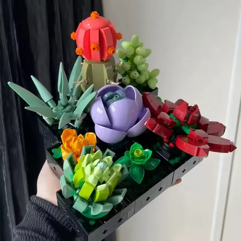 Timeless Succulent Garden Kit