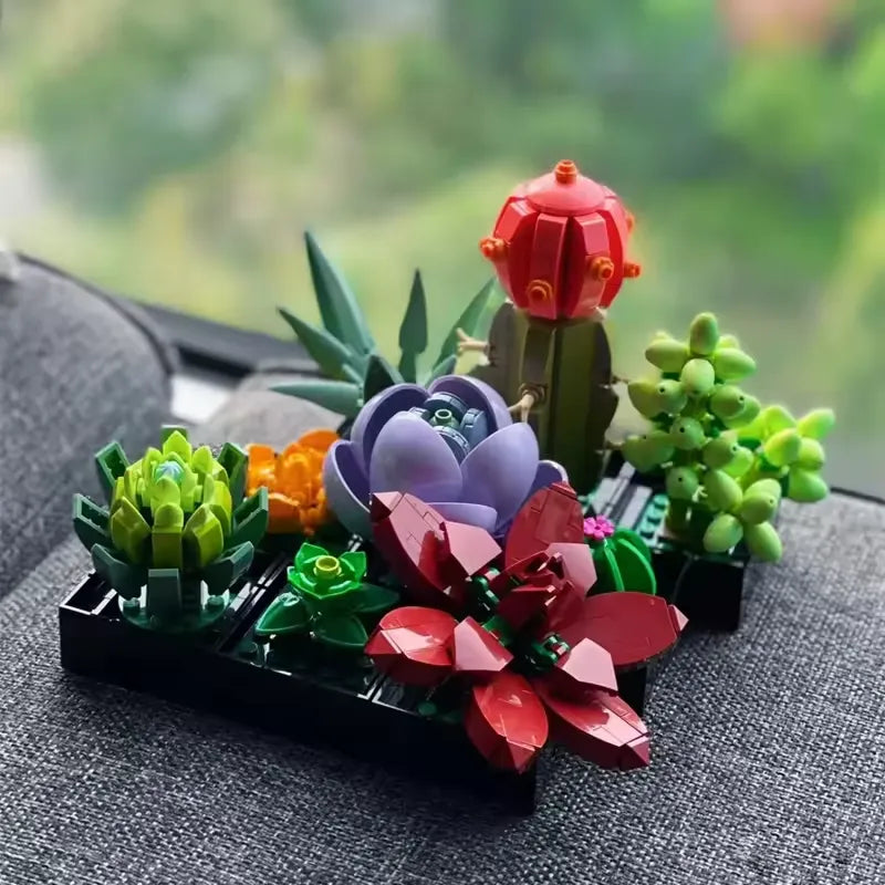 Timeless Succulent Garden Kit