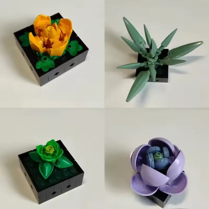 Timeless Succulent Garden Kit