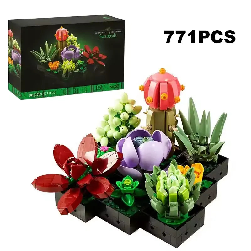 Timeless Succulent Garden Kit