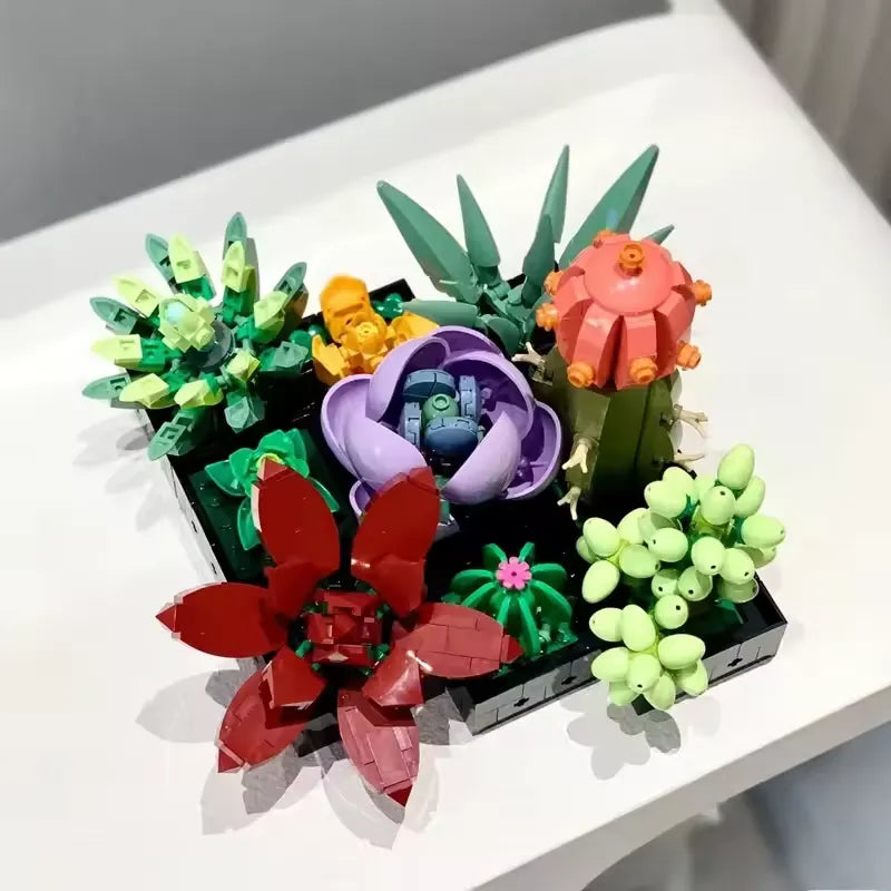 Timeless Succulent Garden Kit
