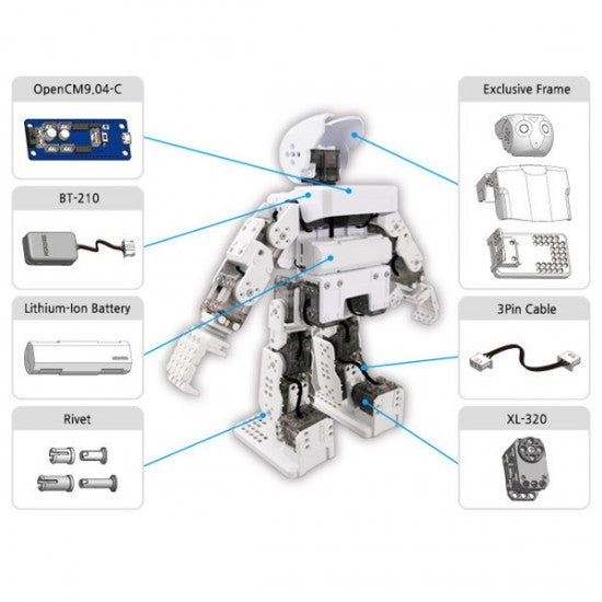 Programmable Humanoid Robot: Robotis Mini