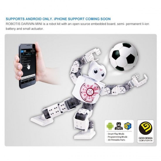 Programmable Humanoid Robot: Robotis Mini